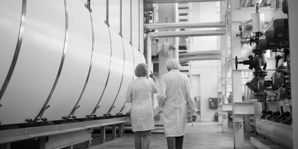 Peritajes Industriales en Alicante · Informes Periciales de Ingeniería